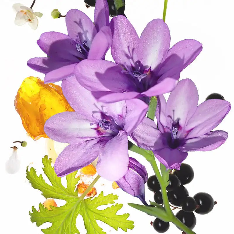 KOEC Moon Violet Hair & Body Fragrance Mist 50ml | Alcohol-Free Floral Perfume