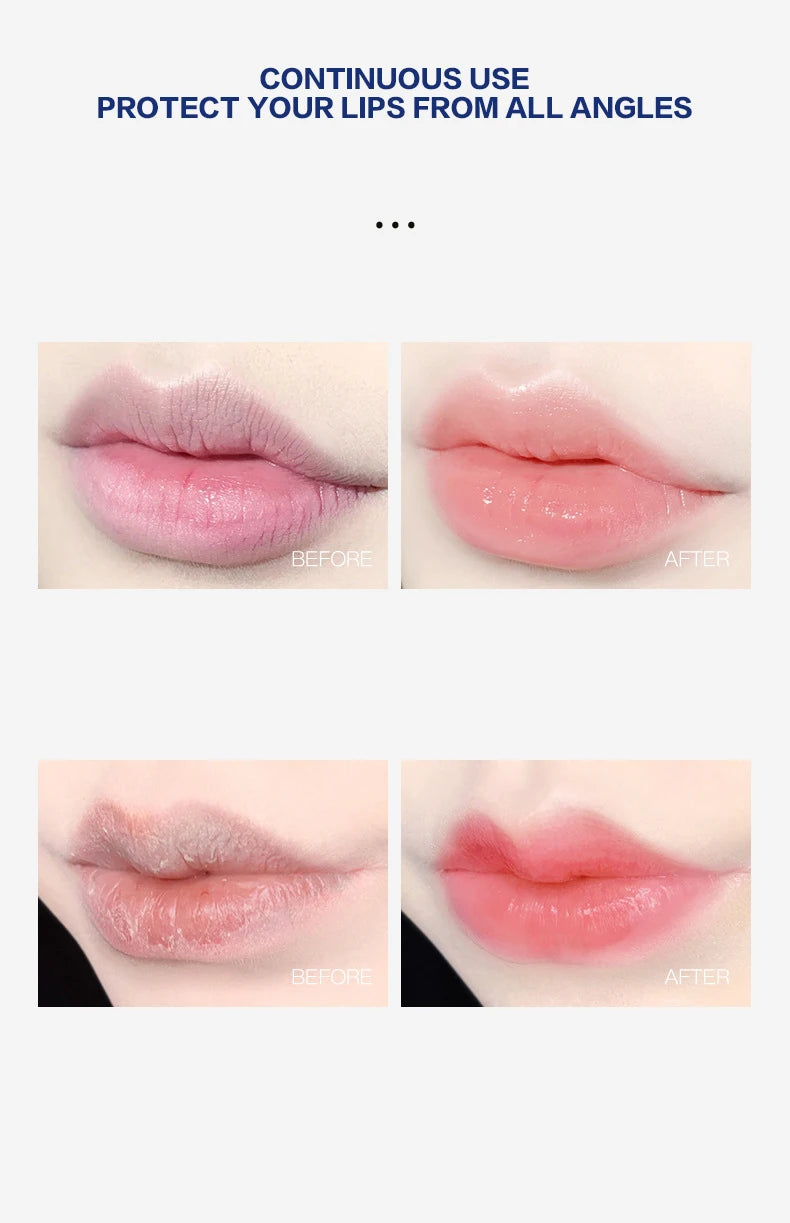4/6/8pcs Moisturizing Lip Balm Set