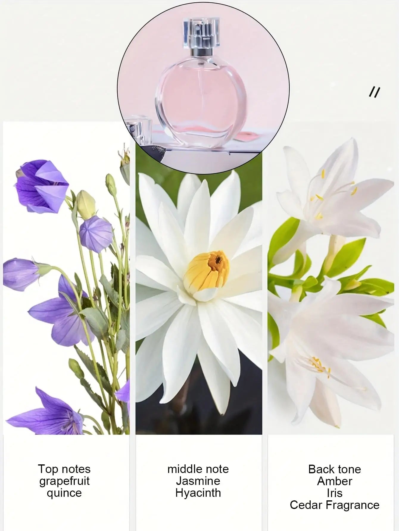 Luxury Perfume Gift Set for Women