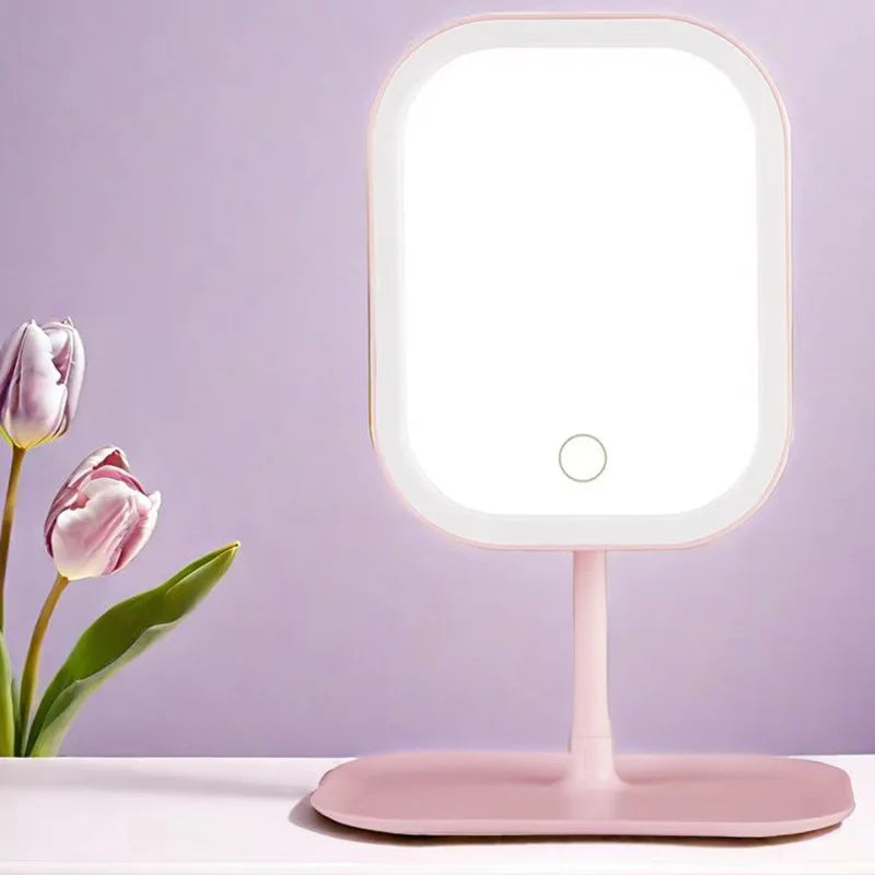 Niche Modern Desktop Vanity Mirror 3 Color Light LED , touching mirror