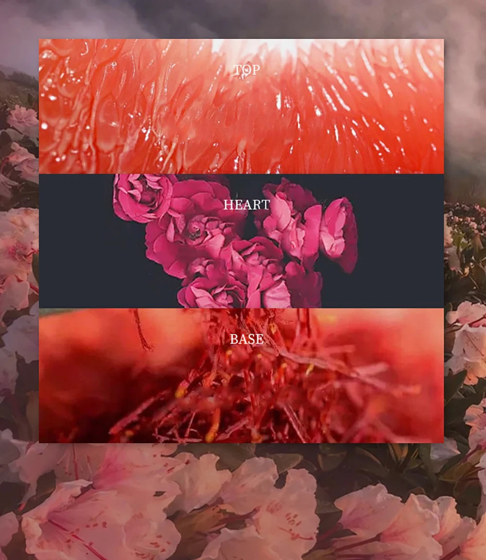 Luxury Brand Perfume Women 75ml Feminino Perfumes De Mujer Lasting Fragrances Pheromone Eau De Parfum Femme Floral Scent Spray Nanasbeautyholic