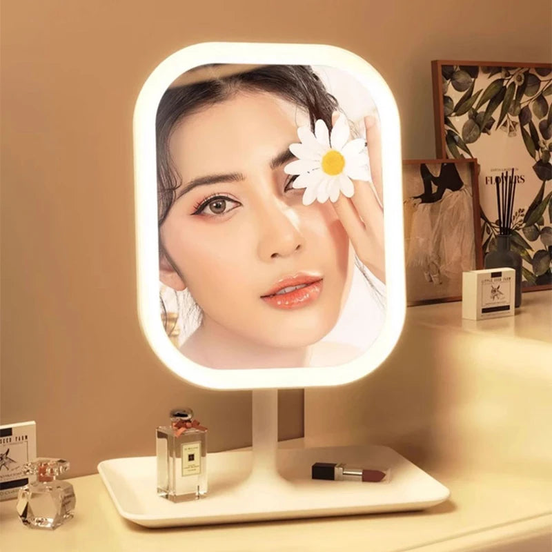 Niche Modern Desktop Vanity Mirror 3 Color Light LED , touching mirror